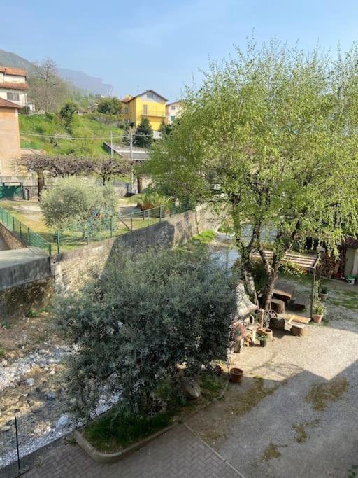 Casa Mirta Daire Mandello del Lario Dış mekan fotoğraf